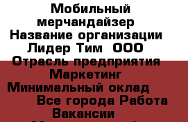 Мобильный мерчандайзер › Название организации ­ Лидер Тим, ООО › Отрасль предприятия ­ Маркетинг › Минимальный оклад ­ 22 500 - Все города Работа » Вакансии   . Мурманская обл.,Оленегорск г.